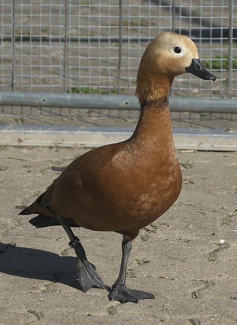 大家都知道
